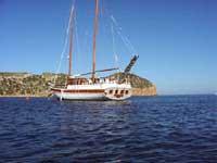 SeaStar vor Carbrera